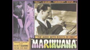 Marihuana's poster