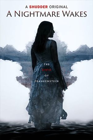 A Nightmare Wakes's poster