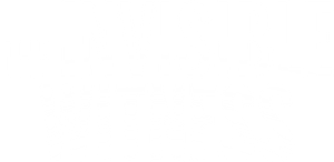 The Invisible Witness's poster