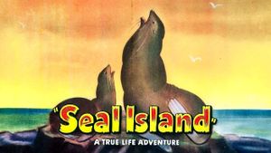 Seal Island's poster