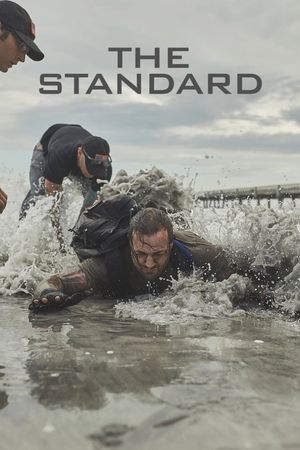 The Standard's poster image