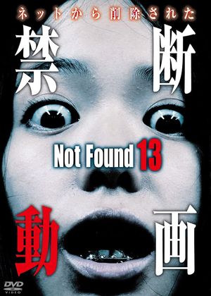 Not Found 13's poster