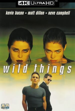 Wild Things's poster