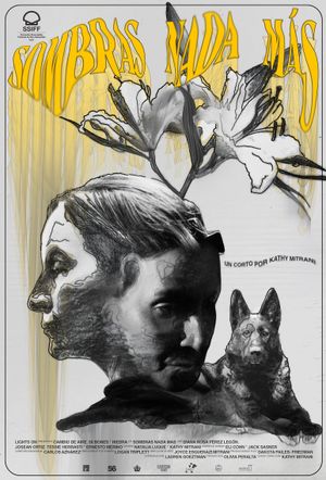 Nothing but Shadows's poster