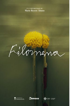 Filomena's poster
