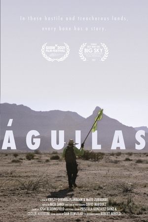 Eagles's poster