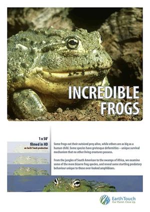 Incredible Frogs's poster