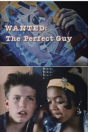 Wanted: The Perfect Guy's poster