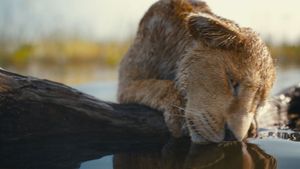 Mufasa: The Lion King's poster