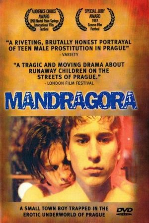 Mandragora's poster