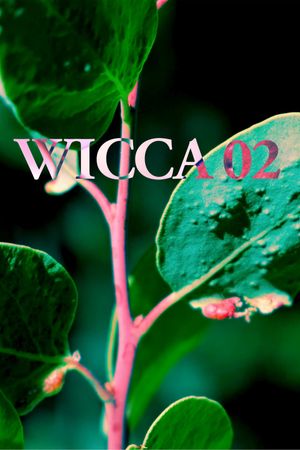 WICCA_02's poster image