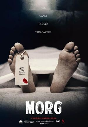 Morg's poster image