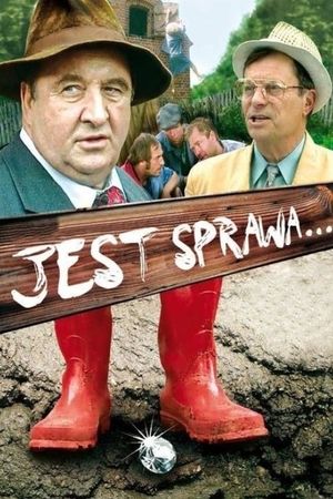 Jest sprawa...'s poster