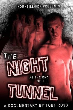 The Night at the End of the Tunnel's poster image
