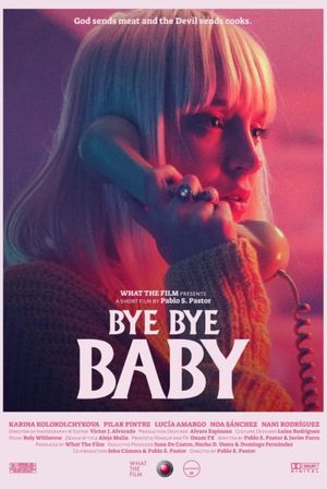 Bye Bye Baby's poster