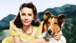 Courage of Lassie's poster