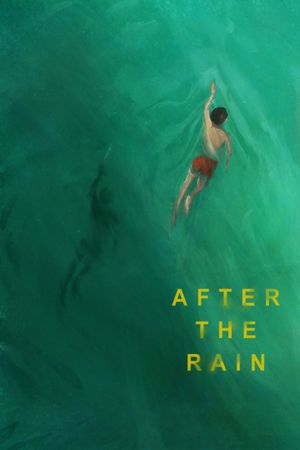 After the Rain's poster