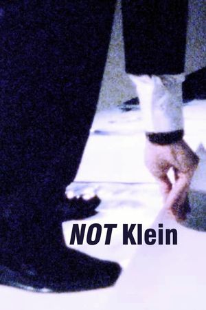 Mike Bidlo: NOT Klein's poster