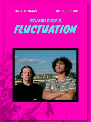 Fluctuation's poster