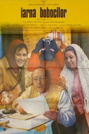 Iarna bobocilor's poster