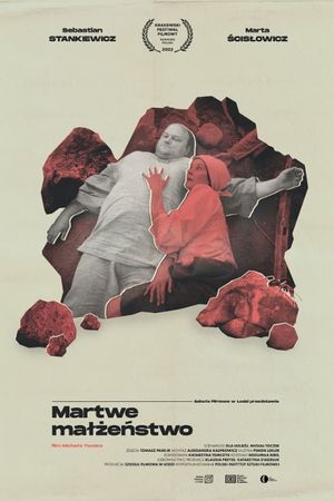 A Dead Marriage's poster