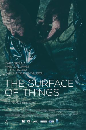 The Surface of Things's poster