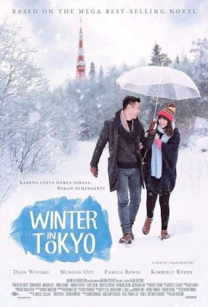 Winter in Tokyo's poster