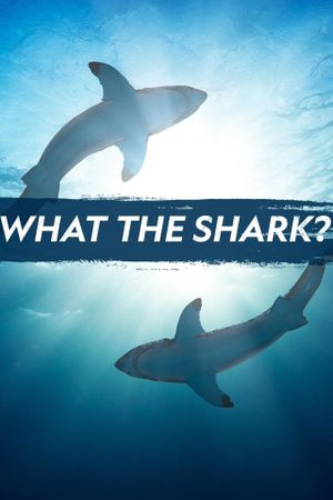 What the Shark?'s poster