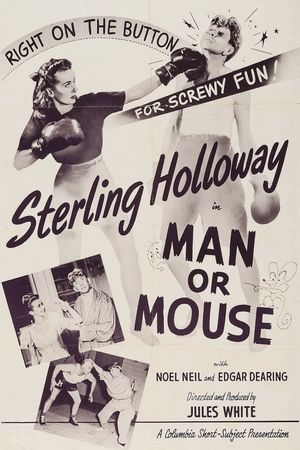 Man or Mouse's poster