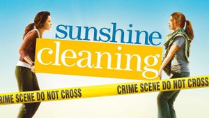 Sunshine Cleaning's poster
