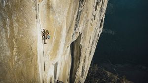 Girl Climber's poster