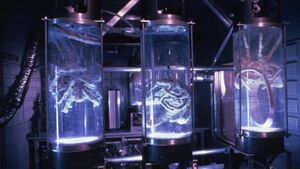 Aliens's poster