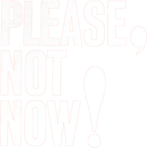 Please, Not Now!'s poster