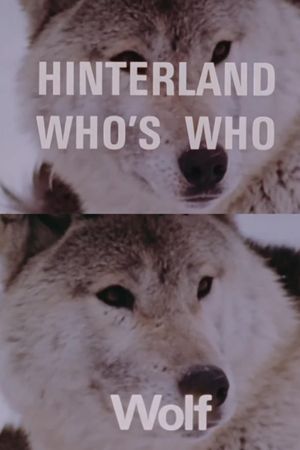 Hinterland Who's Who: Wolf's poster