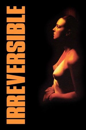 Irreversible's poster