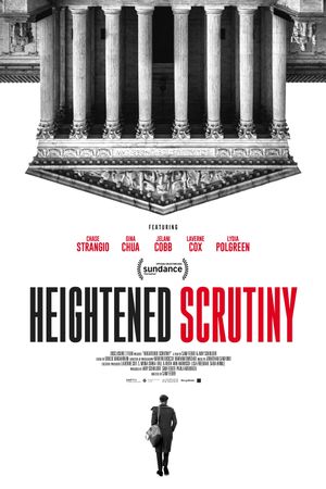 Heightened Scrutiny's poster