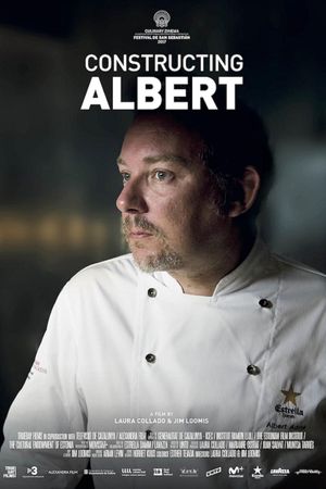 Constructing Albert's poster