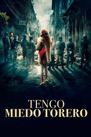 My Tender Matador's poster