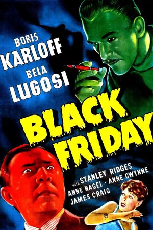 Black Friday's poster