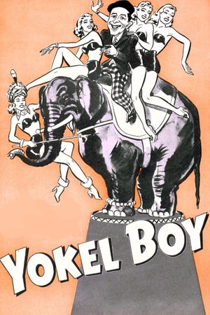 Yokel Boy's poster