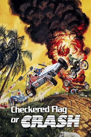 Checkered Flag or Crash's poster