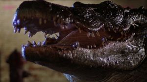 Alligator's poster