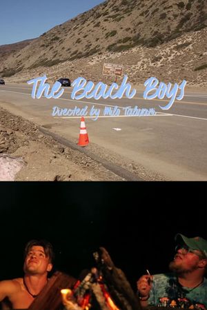 The Beach Boys's poster