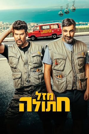 Cat's Luck's poster