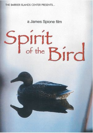 Spirit Of The Bird's poster