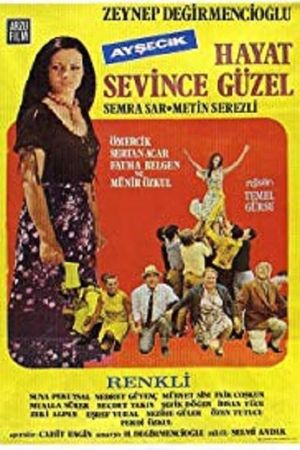 Aysecik: Hayat Sevince Güzel's poster