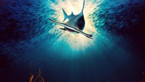 Monster Hammerheads's poster