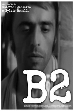 B2's poster