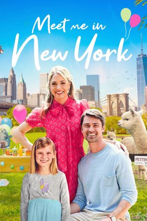 Meet Me in New York's poster