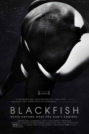 Blackfish's poster